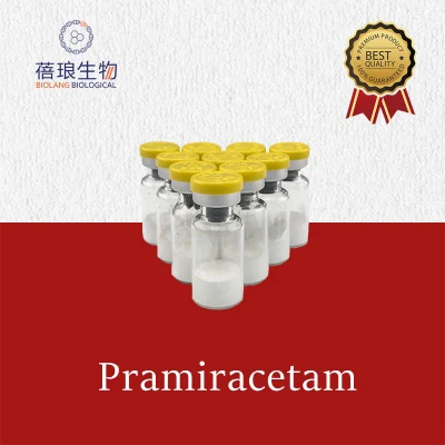 Pramiracetam CAS-68497-62-1 China Factory Supplier Raw Chemical with 100% Free Custom Clearance API